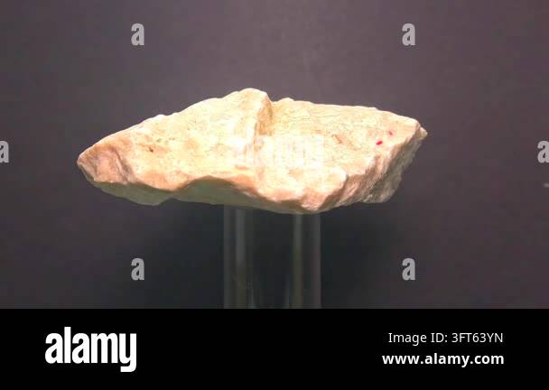 Light-colored rock piece displayed on a stand against a dark background ...