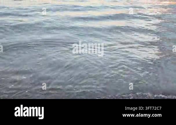 Relaxing tropical beach shoreline with soft ripples and warm sunset ...