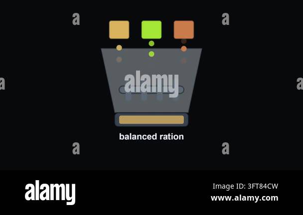 Colored feed pellets combine into a balanced ration through a funnel, a ...