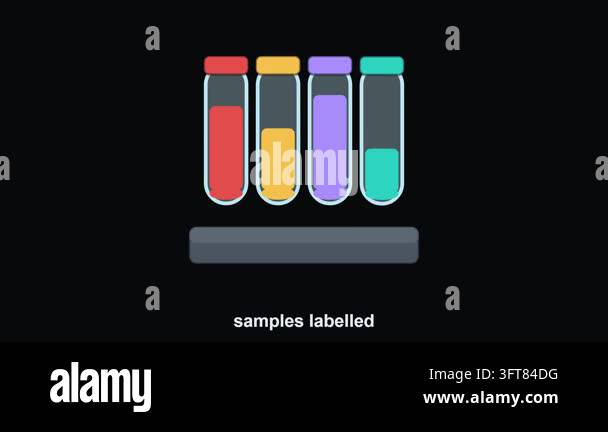Sample Yuve Animated Blood Collection Sample Test Tubes Laboratory. Healthcare ...