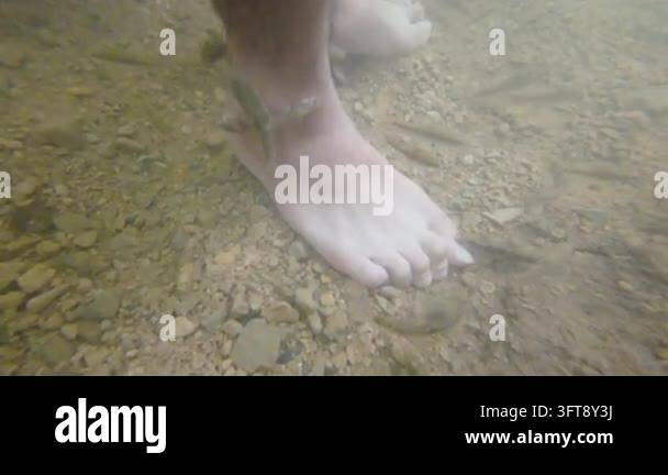 The fish is nibbling legs in the stream of the waterfall Stock Video ...