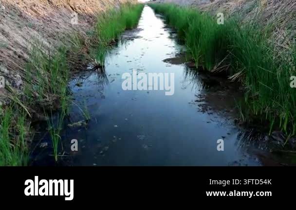 Tracking shot moving forward through a narrow irrigation ditch lined ...