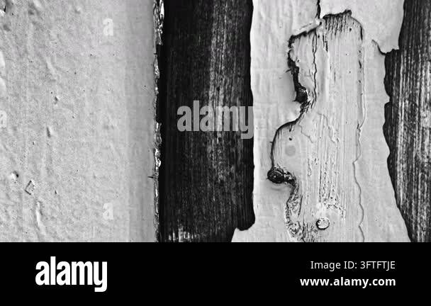 Detailed close up of weathered wood texture showing peeling paint and ...
