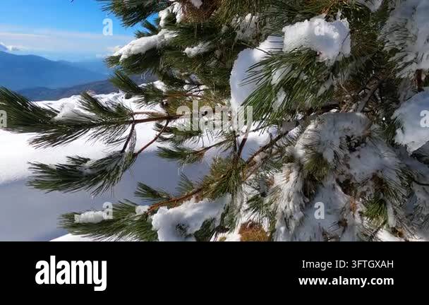 Pristine winter mountain views reveal snow-covered peaks and untouched ...