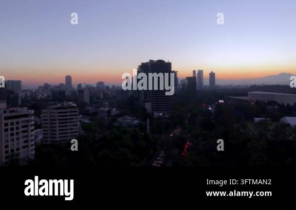 Tsll Tree Observing city skyline featuring numerous tall buildings green trees ...