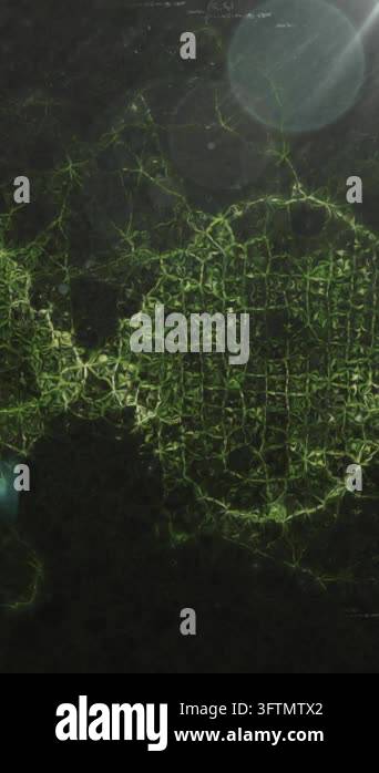 Animation of mathematical equations, light spot and green digital wave ...