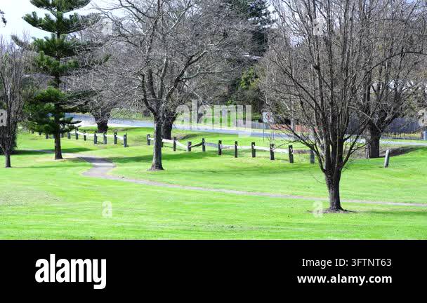 Victoria Outside A lush green park with vibrant grass at Nowa Nowa, Victoria, Australia ...