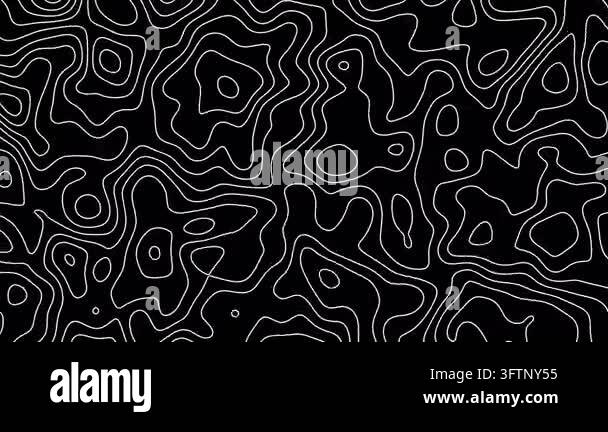 Topographic Abstract Background Seamless loop fractal lines background. Topographic map like abstract ...