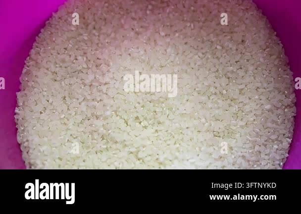 Hand With White Rice Top view of a hand using a translucent plastic measuring cup to scoop ...