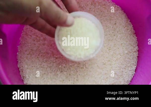 Hand With White Rice Top view of a hand using a translucent plastic measuring cup to scoop ...