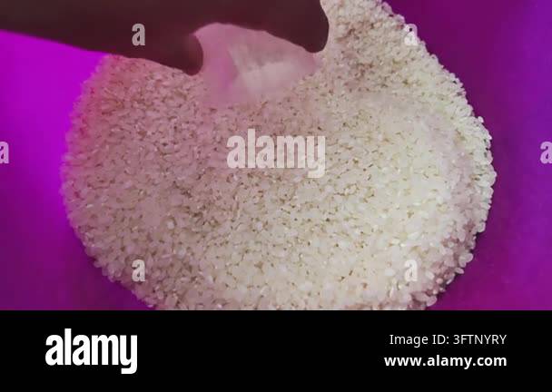 Hand With White Rice Top view of a hand using a translucent plastic measuring cup to scoop ...