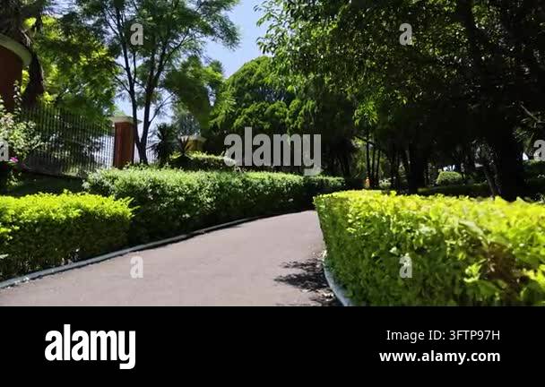 Tsll Tree A gently curving paved garden path bordered by neatly trimmed green ...