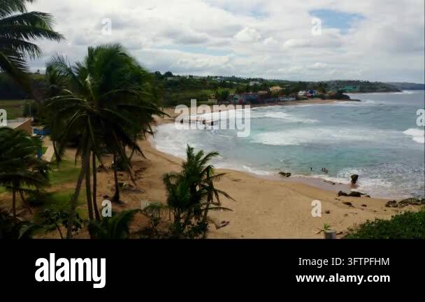 Tropical beach with palm trees and turquoise ocean waves Stock Video ...