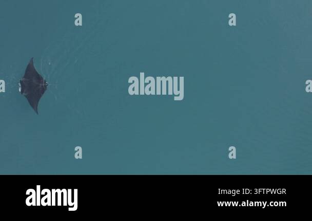 Solid teal color background with a smooth texture and no visible ...