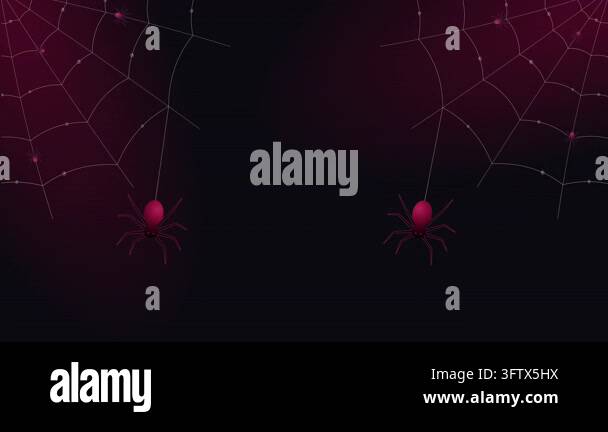 Halloween background with spider webs, two large hanging spiders, and ...