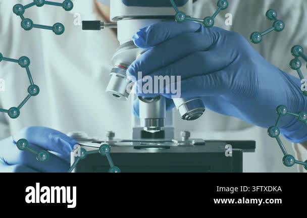 Lab tech placing slide rotating turret focusing scope for analysis ...