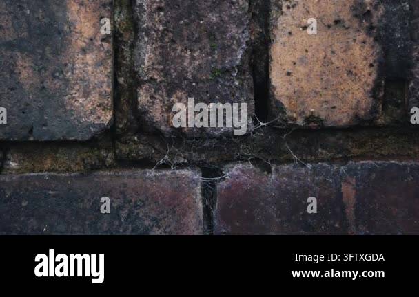 Close up of old weathered red brick wall Stock Video Footage - Alamy