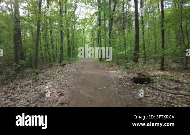 Tracking shot moving forward on a dirt path through a lush green forest ...