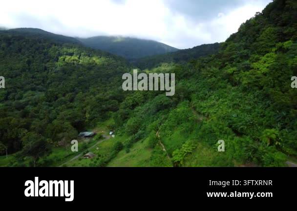 Aerial drone footage flying over lush green mountains and dense jungle ...