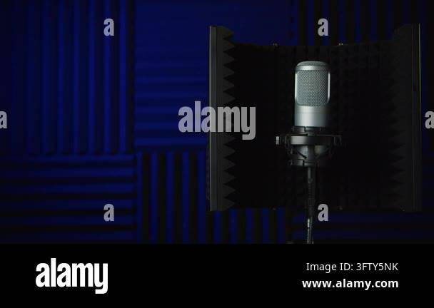 Professional condenser microphone mounted inside an acoustic isolation ...