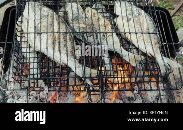 Close up view of fresh sea bream fish grilling over hot charcoal flame ...