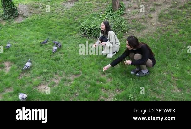 Smiling young women feed grey pigeons as squat on lawn grass in park ...