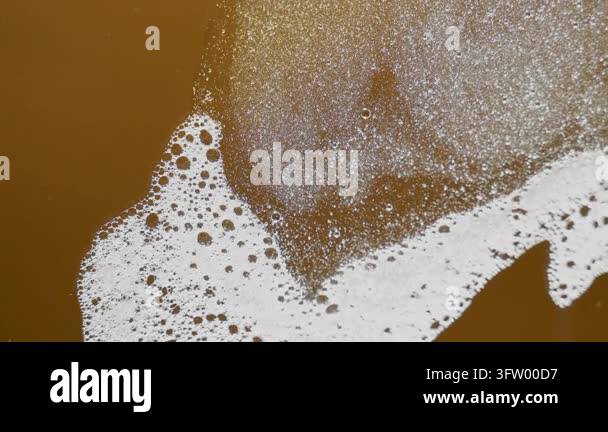 Sudsy white foam expanding and contracting over a golden-brown liquid ...