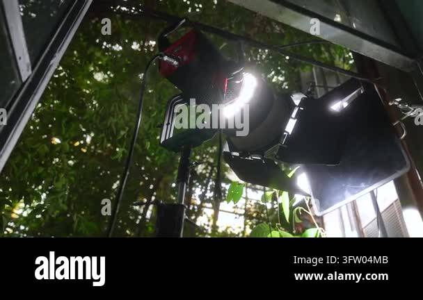 Professional film lighting setup against a backdrop of lush greenery ...