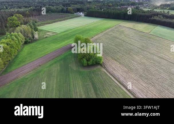 East Asian farmland and rice fields from drone Stock Video Footage - Alamy