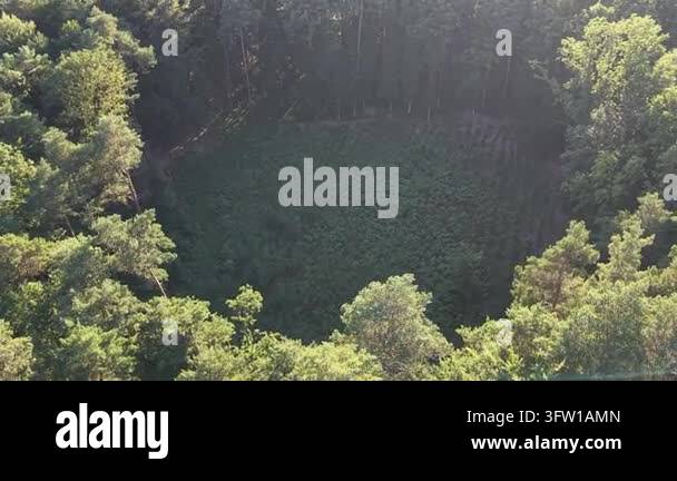 Drone footage of forest and woodland trees Stock Video Footage - Alamy