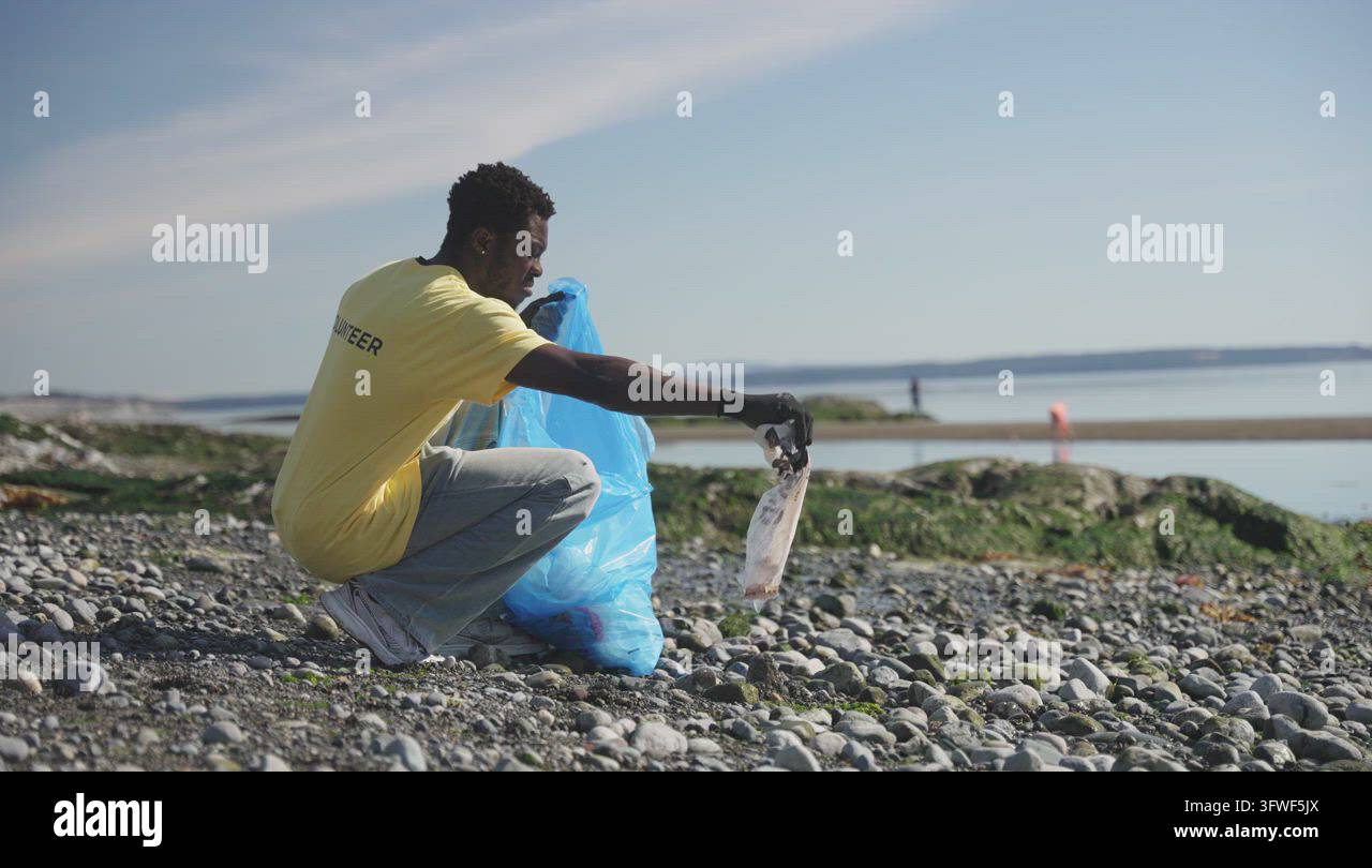 Volunteer cleaning beach shoreline with trash bag and tire Stock Video ...
