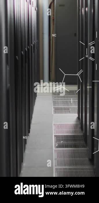 Animation of scientific data processing over computer servers. Medicine ...