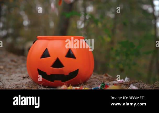halloween pumpkin and jack o lantern in forest Stock Video Footage - Alamy