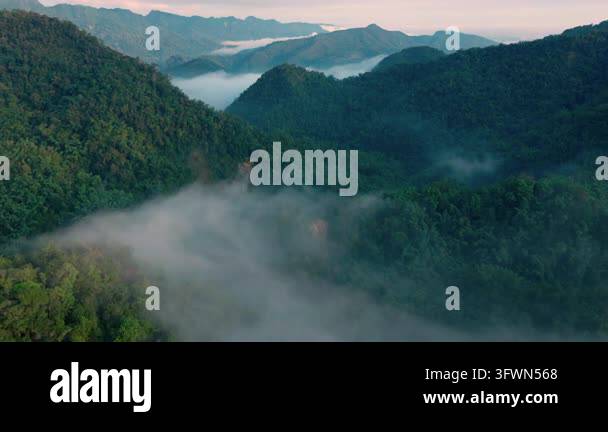 Aerial view of sunrise in the misty forest Stock Video Footage - Alamy