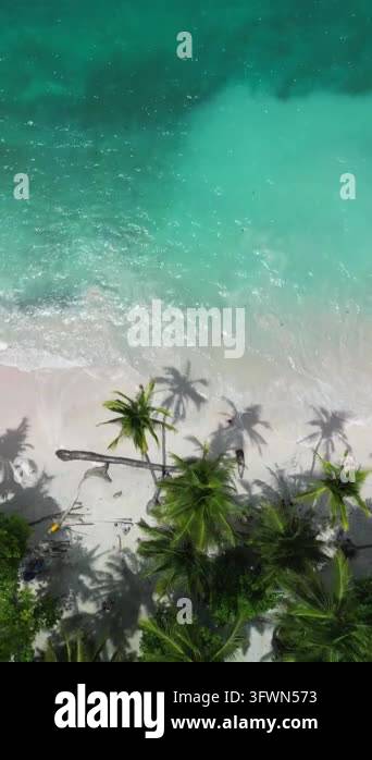 Aerial view of turquoise water and palm trees Stock Video Footage - Alamy