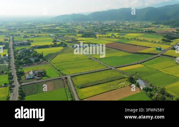 Aerial view of agriculture in rice fields and village, Taiwan Stock ...
