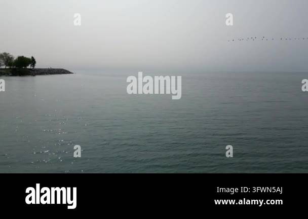 Flock of birds flying in formation over calm ocean water near a rocky ...
