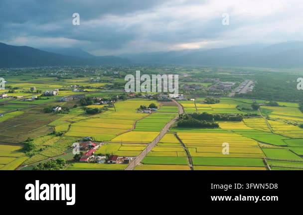 Aerial view of agriculture in rice fields and village, Taiwan Stock ...