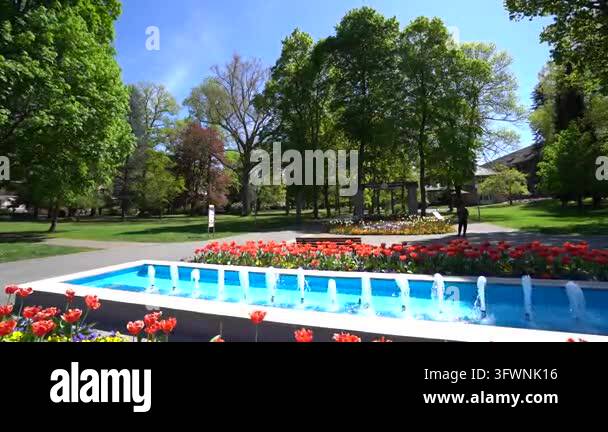 Park in bad Orb, Germany Stock Video Footage - Alamy