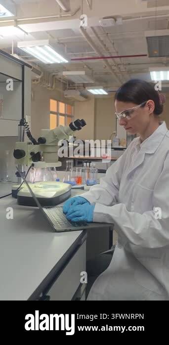 Laboratory room. Female scientists conducting laboratory research with ...