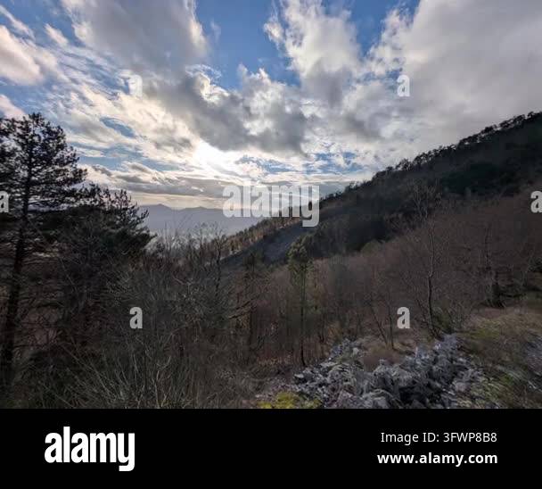 a vertical shot of a mountain landscape with a tree and blue sky in the ...