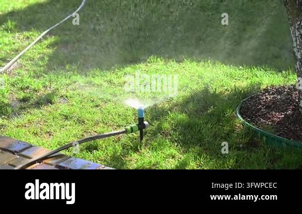 Lawn sprinkler waters green grass in sunny garden. Automatic irrigation ...