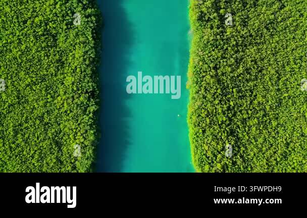 Aerial view of turquoise river surrounded by greenery Stock Video ...