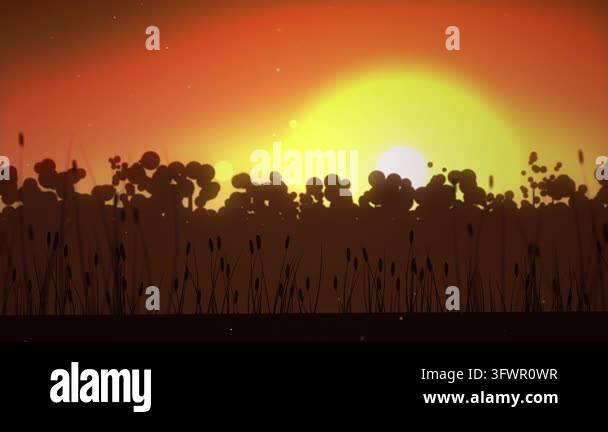 Golden Meadow Sunset Autumn Background Loop Stock Video Footage - Alamy