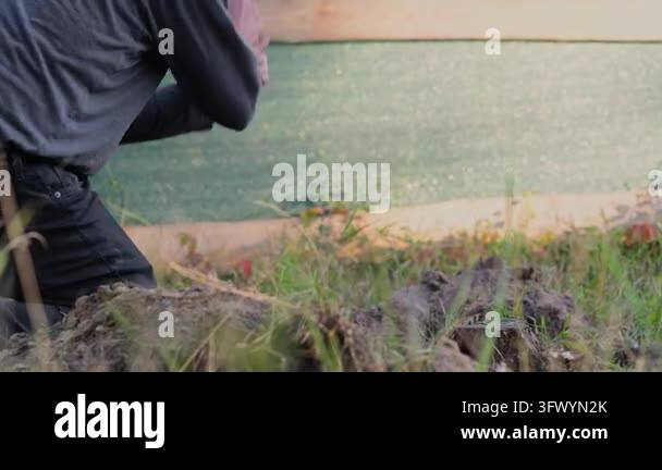 A man swings an axe to chop through thick tree roots that prevent a ...