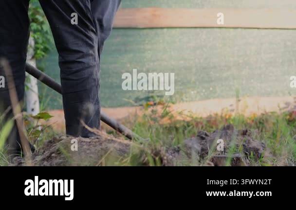 Close-up footage of a man's legs and a shovel as he digs into the soil ...