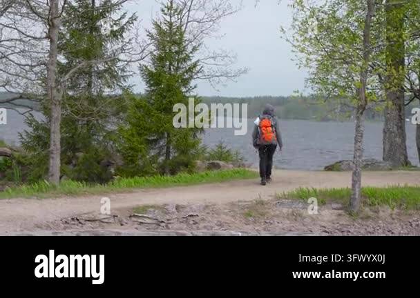 Rear view of hooded hiker walking along dirt lakeshore path, orange ...
