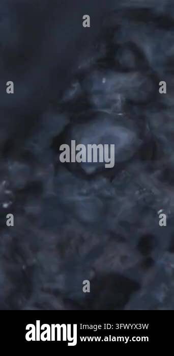 Steam Alpha Texture Close-up of a dark liquid surface with active bubbling, swirling foam ...