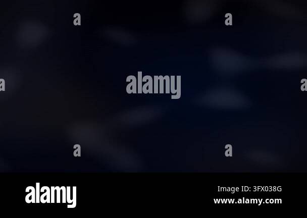 Minimal abstract black grey navy blue gradient blurred background Stock ...