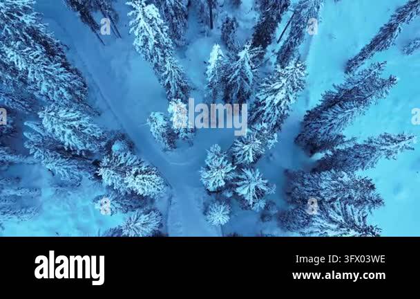 Aerial view of snowy forest landscape Stock Video Footage - Alamy